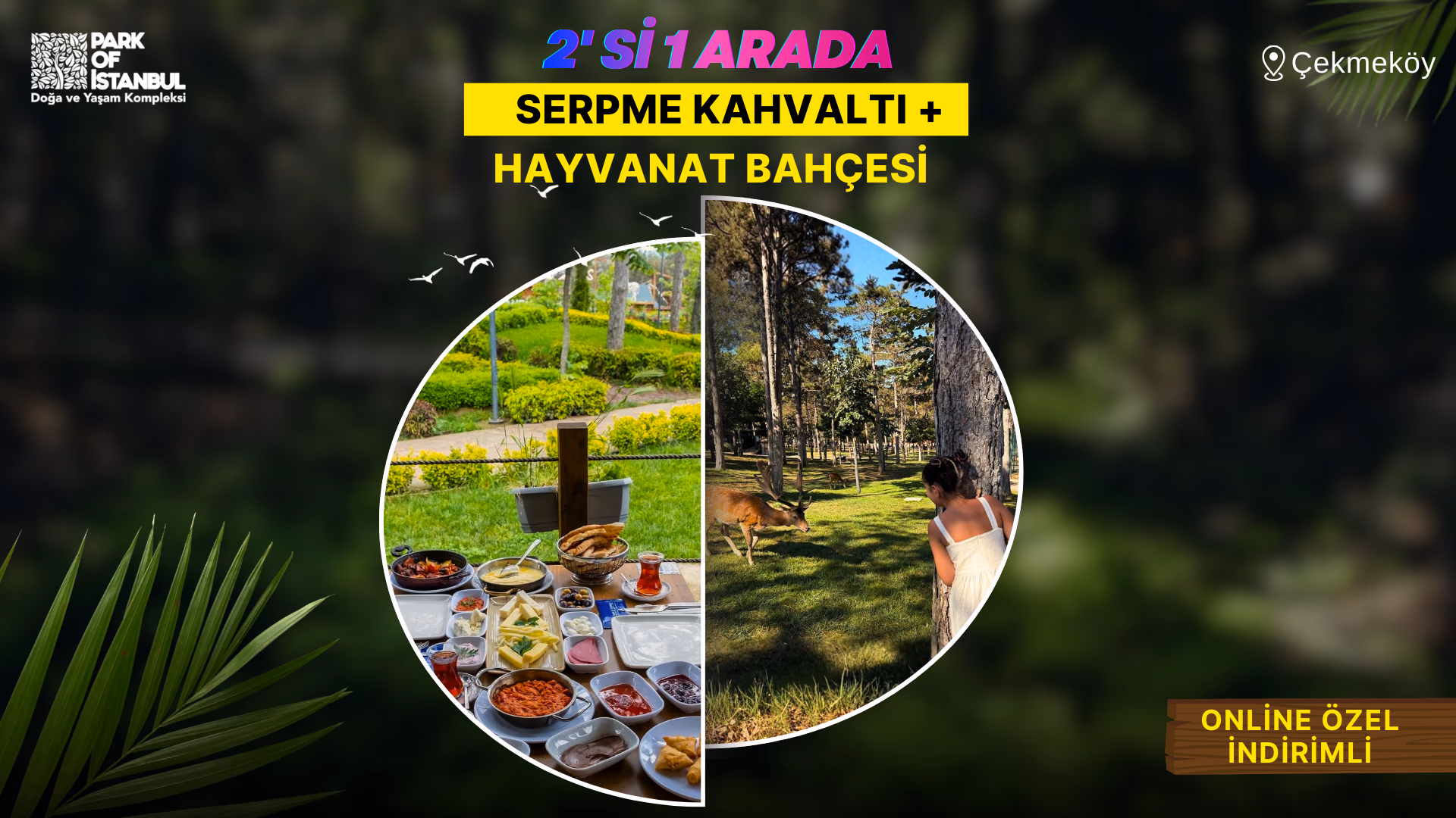 Park Of İstanbul Hayvanat Bahçesi card