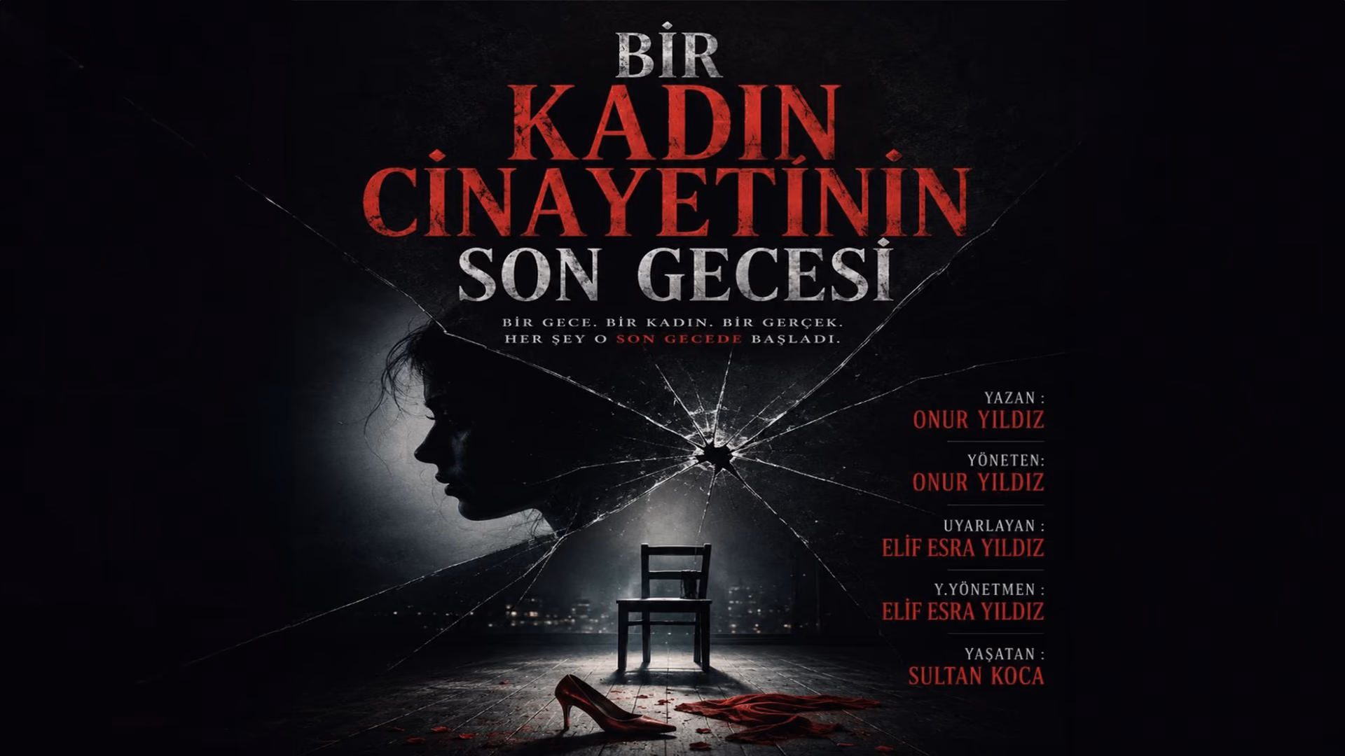 Bir Kadın Cinayetinin Son Gecesi card