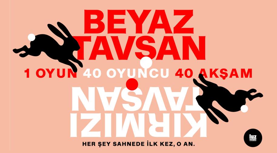 Beyaz Tavan Krmz Tavan  Cem Yiit zmolu