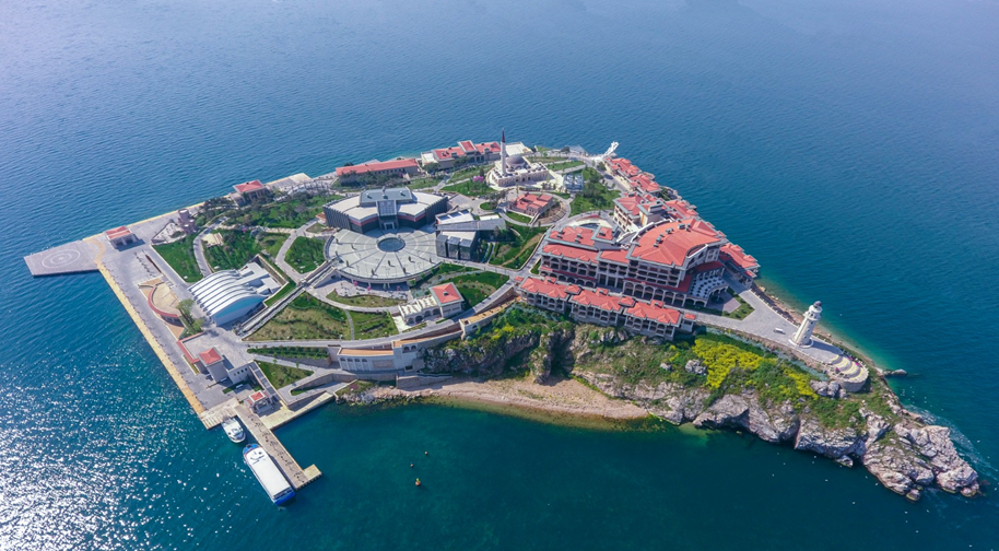 Demokrasi ve zgrlkler Adas  ubat